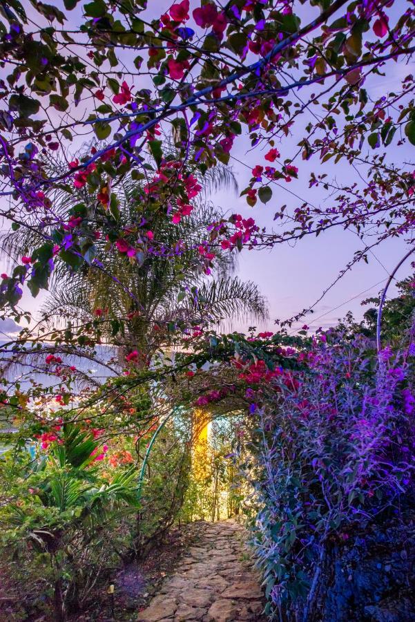 Sunset Palm Lodge سان جيل المظهر الخارجي الصورة